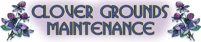 Logo7 Logo7